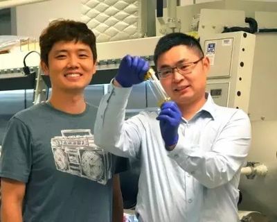 革命性创新 可伸缩电子产品中的“人造皮肤”突破电子元器件边界
